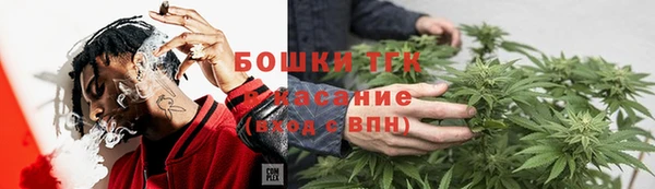 соль ск Богородицк
