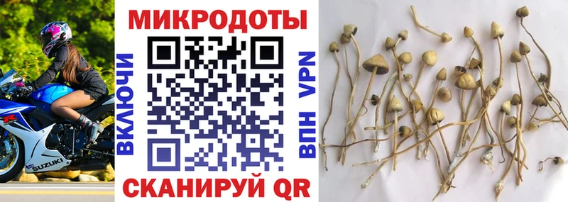 Галлюциногенные грибы Magic Shrooms  гидра   Менделеевск 